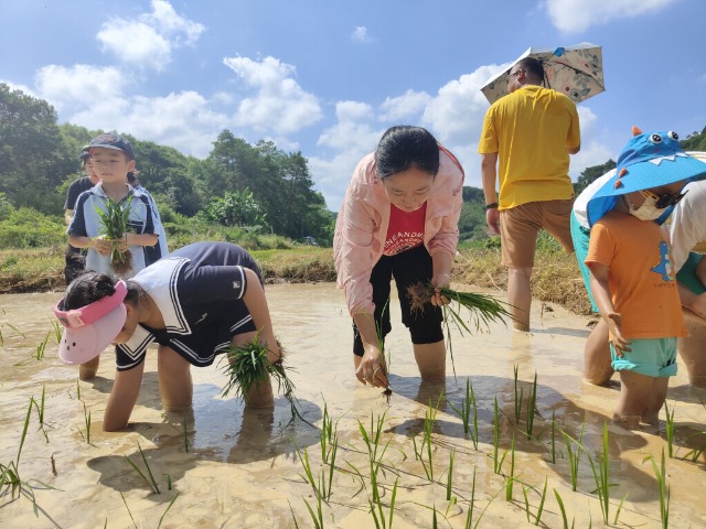 莫副校長(zhǎng)跟孩子們一起插秧.jpg