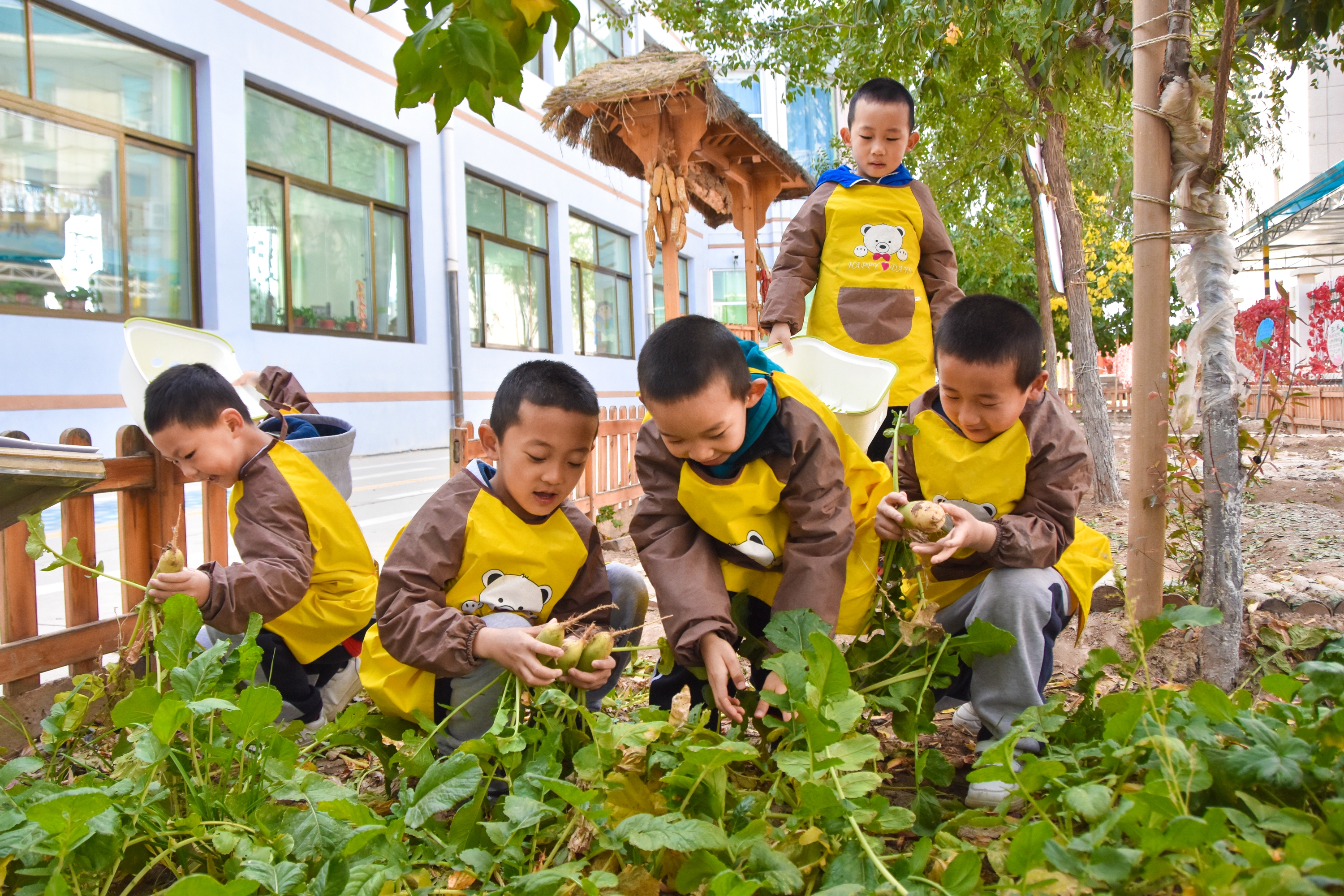 1.甘肅臨澤：濱河幼兒園“種植農(nóng)場” 體驗農(nóng)耕樂趣4.JPG